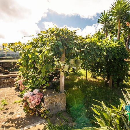 Hospedaria Casa D'Avo Praia da Vitória المظهر الخارجي الصورة